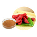 Poudre de jus de fruit de baies de Goji fiable